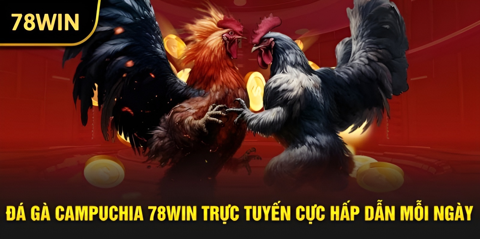 Nguồn gốc và sức hút của đá gà 78Win